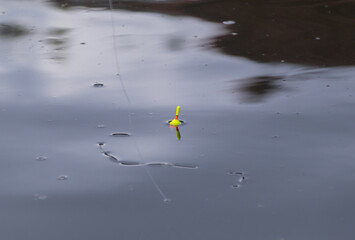 Fishing float floating on dark still water with reflections for hobby and leisure concept © Otna Vicky