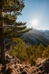 Winter snow hiking near city of Zakopane with view of poland Tatra mountains from Nosal peak in Poland