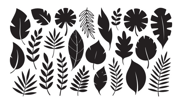 Diverse assortment of tropical leaves and botanical elements in silhouette and outline styles