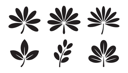 Obraz premium Set of black palm leaves design elements for prints and patterns on white background tropical summer