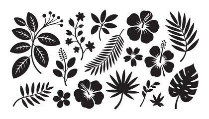 Obraz premium Tropical botanical collection with hibiscus flowers monstera leaves and various exotic plant foliage