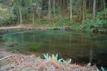 宮崎県えびの市の陣の池　小池