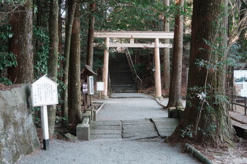宮崎県えびの市の白鳥神社の参道