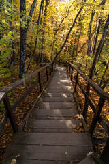 Obraz premium Autumn forest wooden stairs, a scenic path descending through vibrant fall foliage