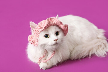 Naklejka na ściany i meble Cute white cat in funny pink hat on purple background