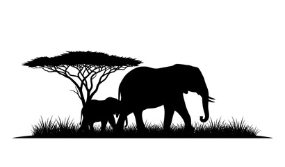 African Elephant Family Silhouette in Savanna Landscape © MD