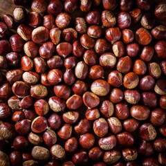 Obraz premium Shelled horse chestnuts