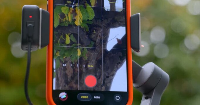 A smartphone is mounted on a DJI Osmo Mobile 8 gimbal stabilizer capturing an urban scene Mobile.