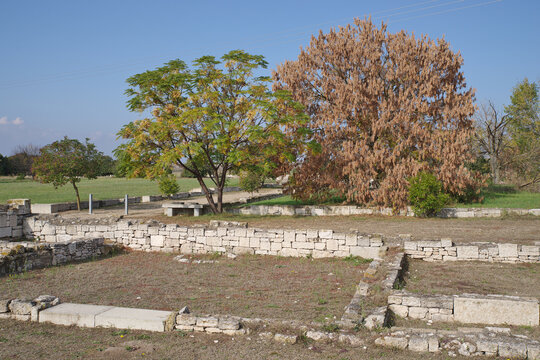 Ancient city Pella ruins showing greek architecture and trees. Archeological site Pella revealing ancient foundations and classic Greek heritage under a clear sky.
