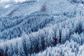 Jasn&aacute; ski resort in the Low Tatras Mountains, located in the Liptov region of Slovakia. Snow-covered peaks, alpine slopes, and winter landscape create a popular destination for skiing