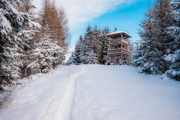 Jasn&aacute; ski resort in the Low Tatras Mountains, located in the Liptov region of Slovakia. Snow-covered peaks, alpine slopes, and winter landscape create a popular destination for skiing