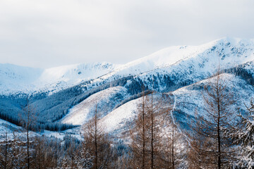 Jasn&aacute; ski resort in the Low Tatras Mountains, located in the Liptov region of Slovakia. Snow-covered peaks, alpine slopes, and winter landscape create a popular destination for skiing