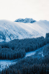 Jasn&aacute; ski resort in the Low Tatras Mountains, located in the Liptov region of Slovakia. Snow-covered peaks, alpine slopes, and winter landscape create a popular destination for skiing