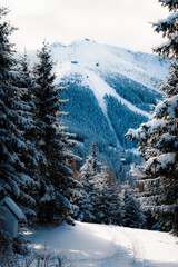 Jasn&aacute; ski resort in the Low Tatras Mountains, located in the Liptov region of Slovakia. Snow-covered peaks, alpine slopes, and winter landscape create a popular destination for skiing