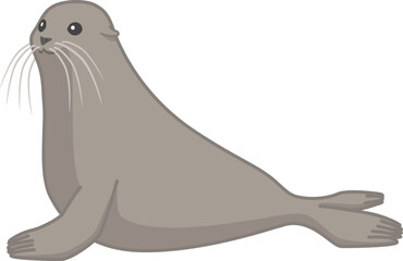 横を向いているアシカ © Free Art Box