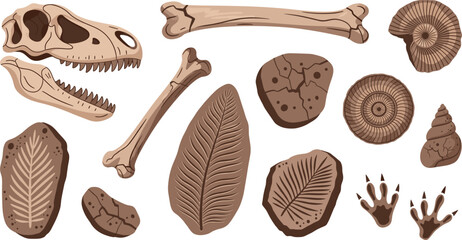 Prehistoric Dinosaur Fossil Vector Set with Skull, Bones, Shells, Leaf Imprints and Footprints © Tofajjol