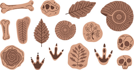 Prehistoric Fossil and Footprint Vector Set with Dinosaur Bones, Skulls and Leaf Imprints © Tofajjol