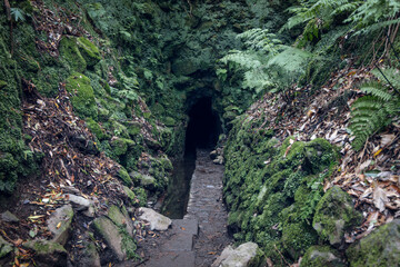 Rock cut tunnel beside water channel on Levada do Caldeirao Verde PR9, moody shade frames wet stone steps and mossy walls along the forest path in Madeira © Artem