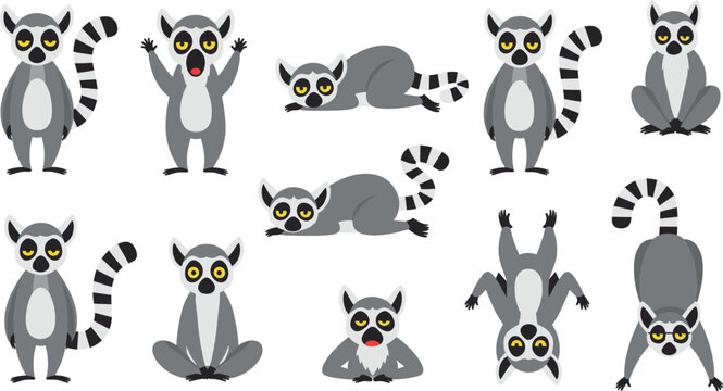 Set of cute cartoon lemur vector illustrations in various sitting, lying and playful poses