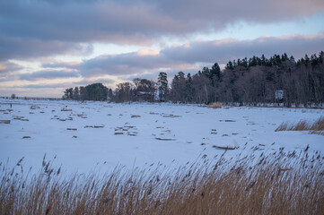 Fototapeta premium winter seashore