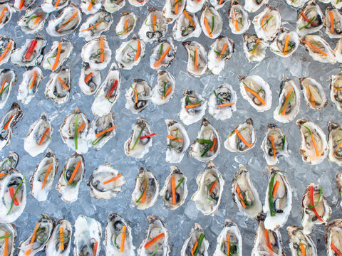 An abundance of oysters on half shells on ice display