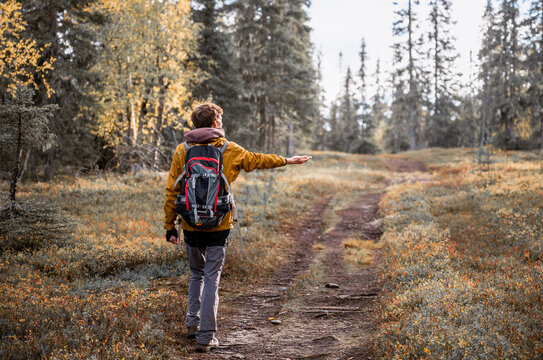 Hiker walking along forest trail in autumn wilderness Finland