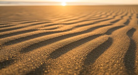 sand dunes in the desert