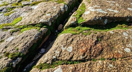 stone wall with moss