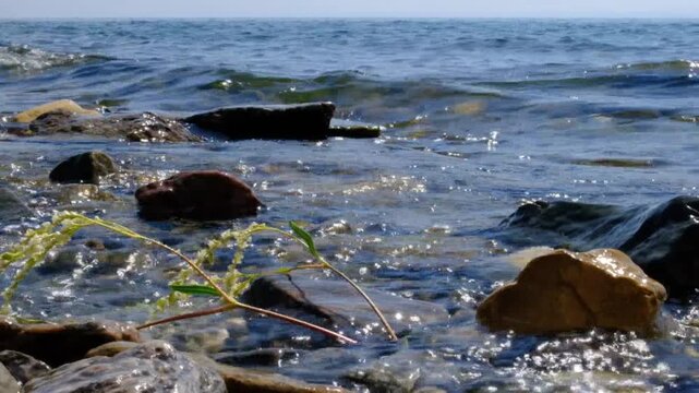Calm sea, tranquil ethereal view. Stone stage, flowers. Harmony, relax, meditating.  Dreamy scenery. Water splash. Pure water with reflections sunlight