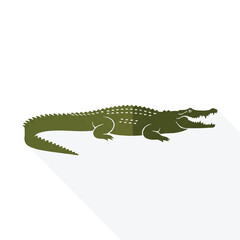 Obraz premium Green Crocodile Illustration with Open Mouth 3.