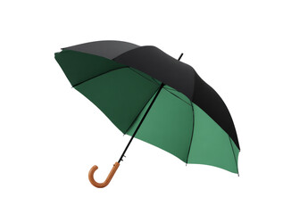 Classic Large Umbrella with Green Interior and Wooden Handle