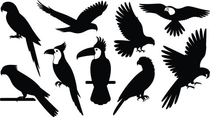 Obraz premium Black parrot and tropical bird silhouettes collection isolated on white background, flying and perched birds set, wildlife animal shapes for logo, tattoo, nature, and design concepts