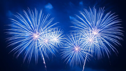 Vibrant blue fireworks exploding in night sky