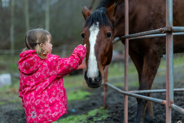 Fototapeta premium Young child interacting calmly with a brown horse in a countryside setting.