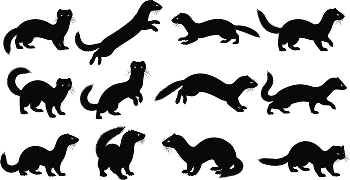 Black Ferret and Weasel Silhouette Vector Set Isolated on White Background Featuring Playful Polecat Stoat and Mink for Wildlife Design,