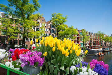 Facades of old historic Houses and trees over canal water, Amsterdam, Netherlands. High quality photo