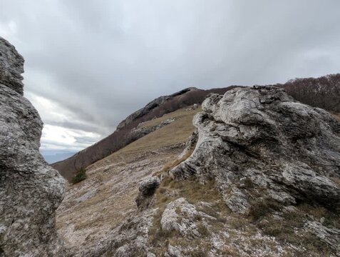 Paesaggio montano con grandi formazioni rocciose in primo piano, pendio erboso e cresta boschiva sullo sfondo sotto un cielo nuvoloso