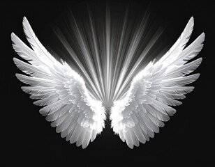 Fototapeta premium Radiant White Angel Wings on Black Backdrop with Luminous Rays of Light