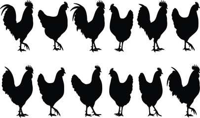 Black rooster and hen silhouette vector set, farm bird poultry collection, chicken farm animals, country life design elements, isolated icons. © Gauranga