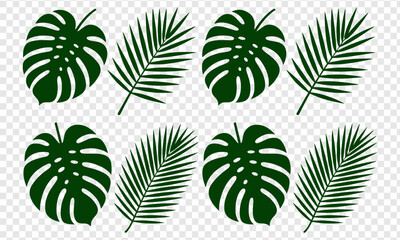 Assorted tropical monstera and palm leaves on a transparent background