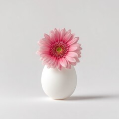 A pink gerbera daisy sprouts from a white egg against a clean, neutral background
