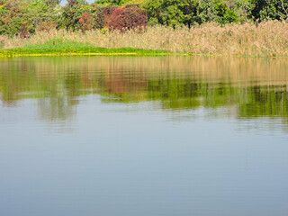 Obraz premium water, likely a pond, lake, or river, with a natural shoreline