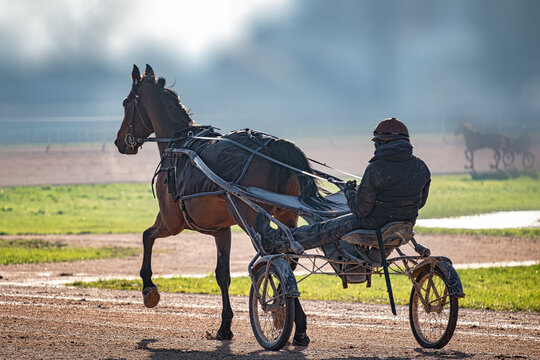 trotteur et sulky &agrave; l'entrainement