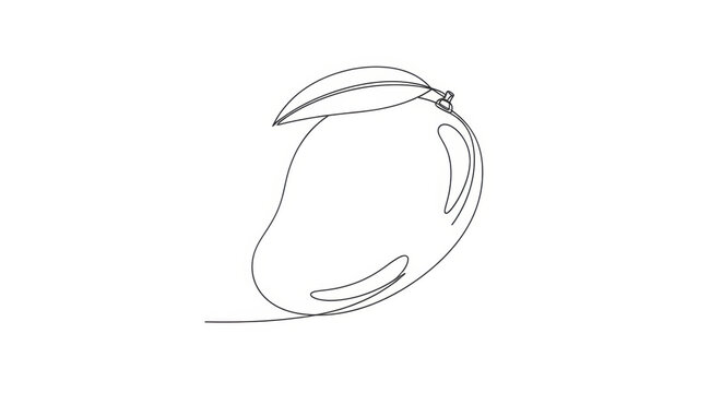 Continuous line drawing of a mango fruit with a leaf, minimalist vector art on white.