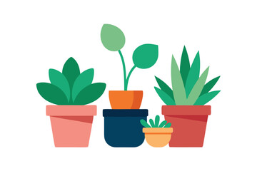 Obraz premium Collection of Potted Houseplants in Modern Pots Full Set