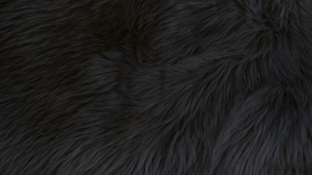 Waving Real Black Animal Fur Texture Background in Slow Motion, 1000fps.