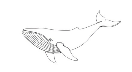 Obraz premium Minimalist Line Art Blue Whale Illustration, Ocean Mammal Drawing