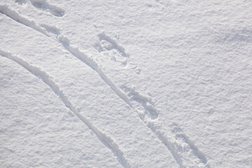 Fu&szlig;spuren im Schnee, Deutschland