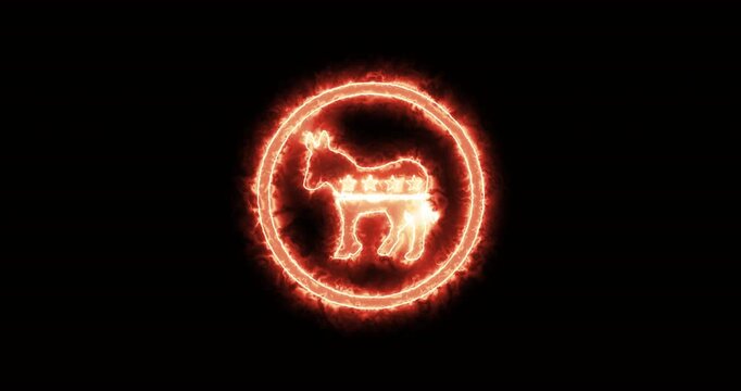 Democratic Party Donkey in fire. Loop