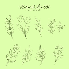 Minimalist botanical line art collection, hand drawn floral leaf illustrations set, elegant wildflower nature vector elements.